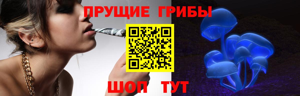 Псилоцибиновые грибы Magic Shrooms Котовск